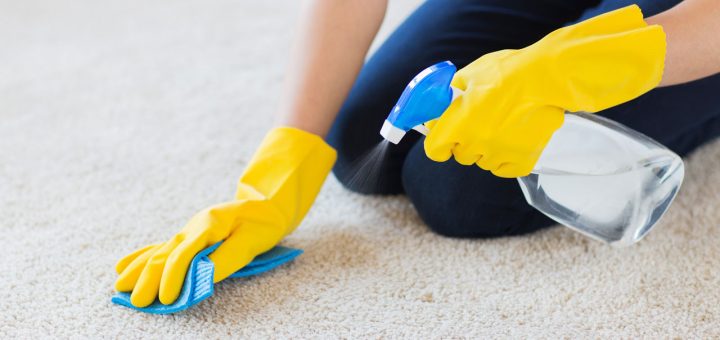 Cleaning Carpet