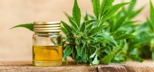 CBD stands for Cannabidiol