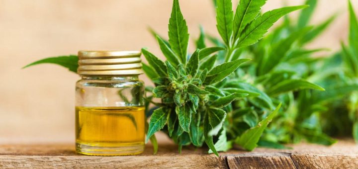 CBD stands for Cannabidiol